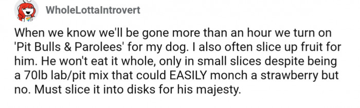 35. A TV show for company, and only sliced fruit