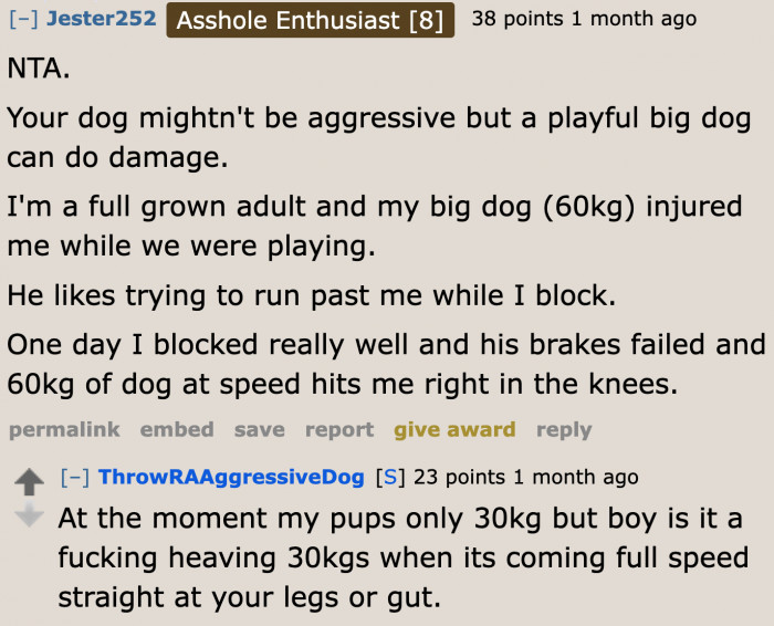 Even adults can get hurt by a playful dog.
