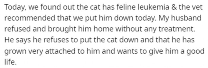 The husband ignored the vet's recommendation and brought the cat home.