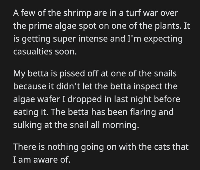 In a rare turn of events, the cats aren't a part of the drama