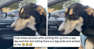 Great Things That Went Viral Recently That Will Make Your Whole Day So Much Better