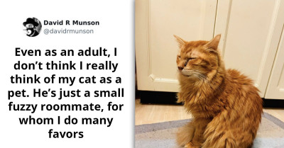 30 Heartwarming Moments Of Children Completely Unaware That Their Pets Are Non-Human