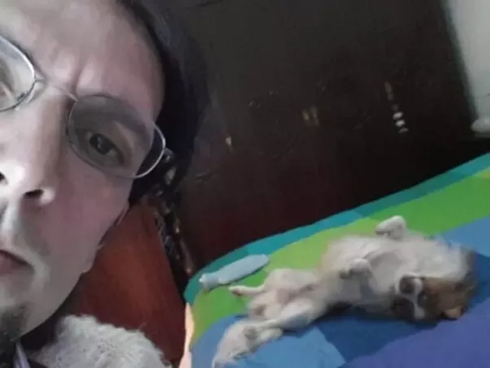 Trying to bribe the hooman through entertainment