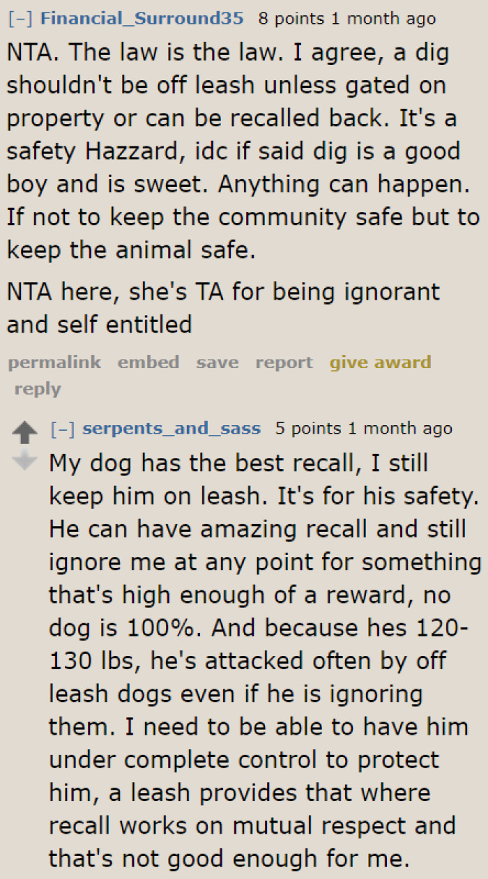 Even if a dog is well-behaved, it still needs to be leashed.