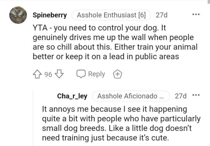 It's Either You Train Your Animal or You Keep It on a Leash Whenever You're in a Public Place