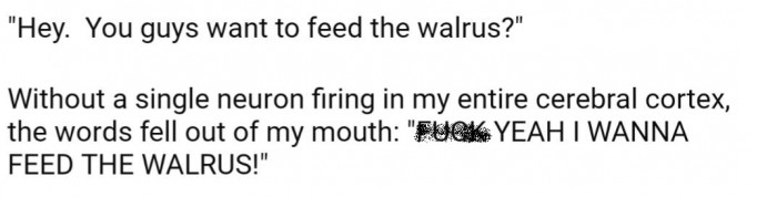 "Wanna feed the walrus?"