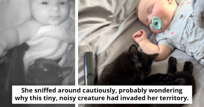 Adorable Moment When Kitty Was Caught Red-Pawed Sneaking Into Baby’s Crib For Cuddles