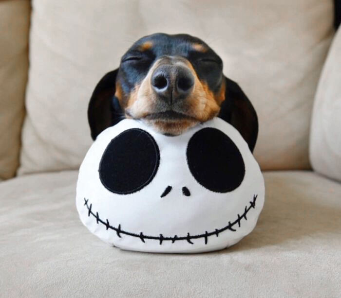 "So Sweet... And Scary"
