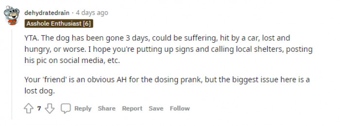 "The biggest issue here is a lost dog."