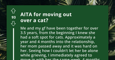 Bizarre Story of a Man Giving His Girlfriend a Cat, Adopting Another, and Eventually Moving Out Due to His Inability to Tolerate Them
