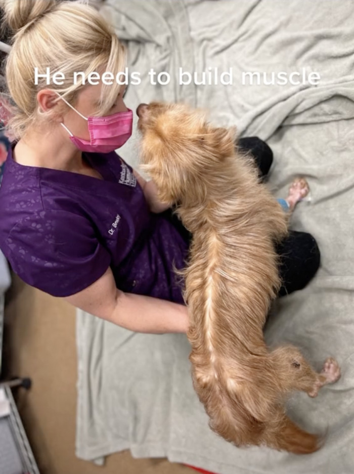 He has to regain strength first before he can cause chaos at the shelter