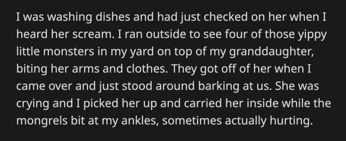 Four chihuahuas were on top of her granddaughter. They were biting her arms and ruining her clothes.