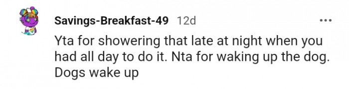 This redditor considers the OP an AH for showering late and making the dog wake up