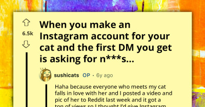 Instagram Creep Gets Hilarious Response After Asking For Explicit Photos From A Cat Account
