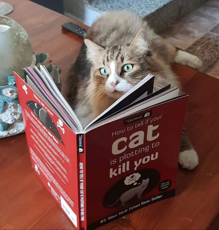 7. "Jackson is on chapter 6. One step ahead of me."