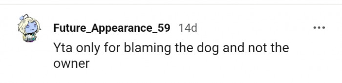 This Redditor believes the OP shouldn't blame the dog