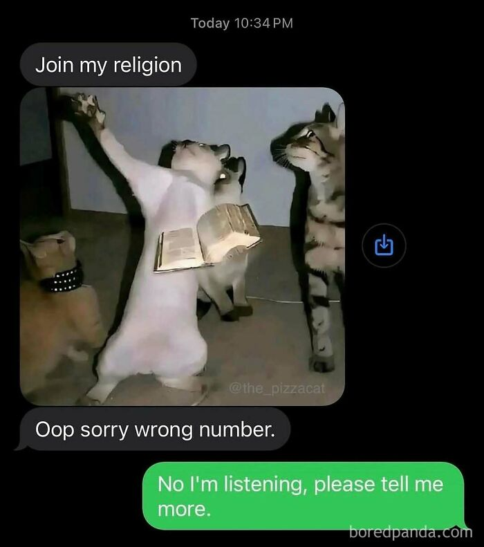 33. “This sermon is giving ‘hallelujah and hairballs.’”