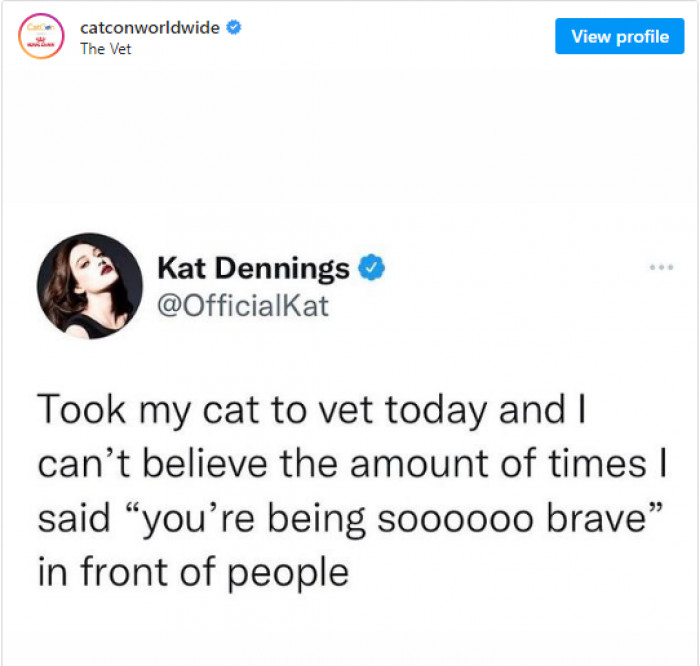 16. We can do so much for our little companions without even realizing it