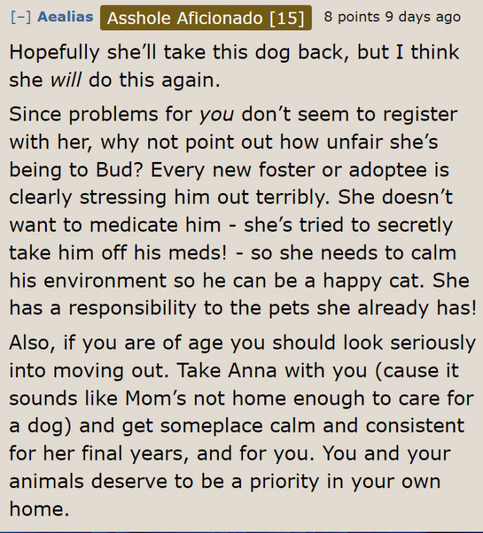 She needs to make her mom realize that adopting another pup is unfair to the other pets.