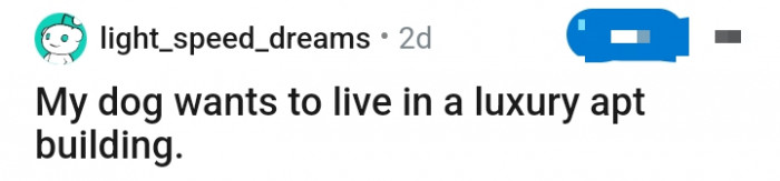 This doggo wants nothing less than a luxurious life