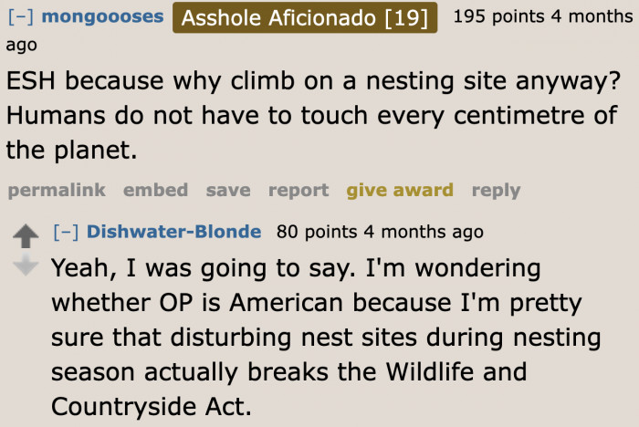 There are others who are more concerned about the birds.