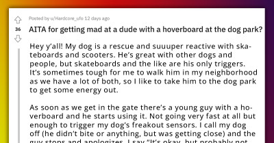 Redditor With A Reactive Dog Shoots Dirty Looks At A Guy Riding Hoverboard At The Dog Park