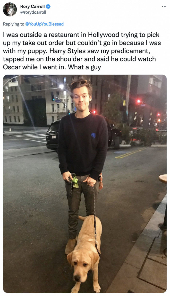 16. Those are two celebrities: Harry Styles and Mr. Peanutbutter