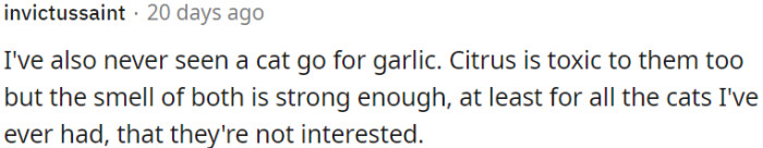 Cats typically show no interest in garlic or citrus due to their strong smells.