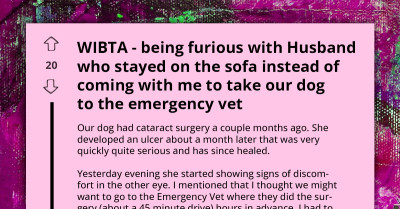 Husband Prefers Relaxing on Couch Over Taking Dog to Emergency Vet, Angering His Wife