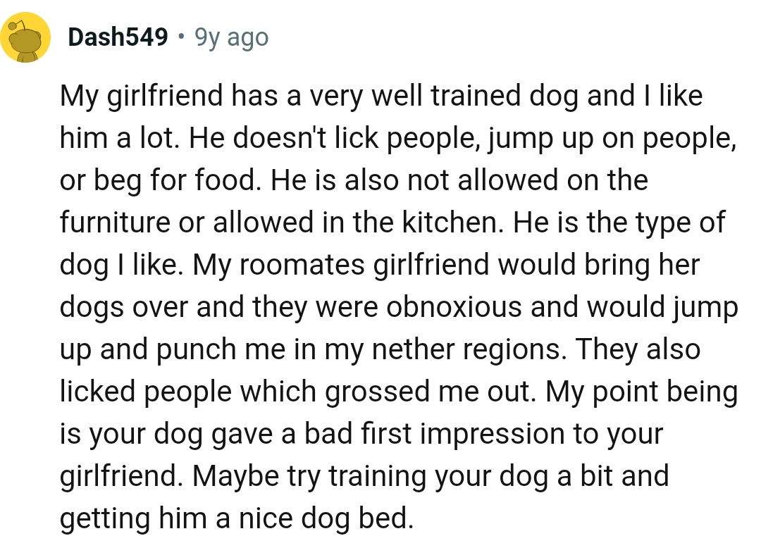 The Kind of Dog This Redditor Likes
