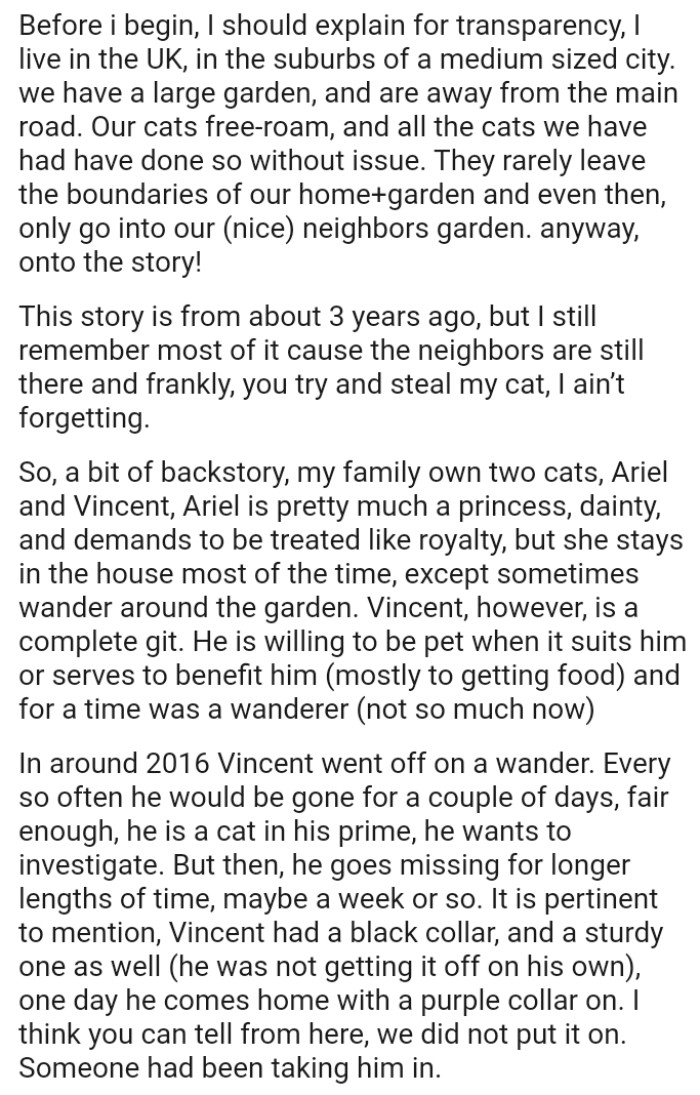 The cats rarely leave the boundaries of their home and garden, as well as their nice neighbor's garden