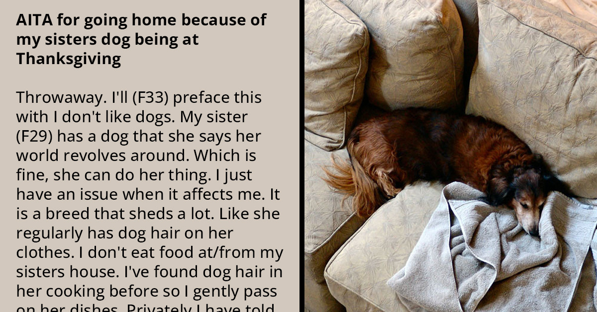 Family Thanksgiving Ruined Over Woman’s Dislike For Dogs