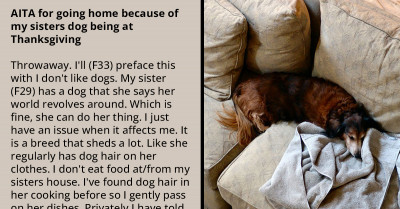 Family Thanksgiving Ruined Over Woman’s Dislike For Dogs