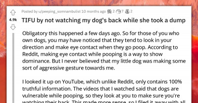 Redditor Shares Story Of How He Failed His Dog By Not Watching Her Back While She Was Doing Number Two