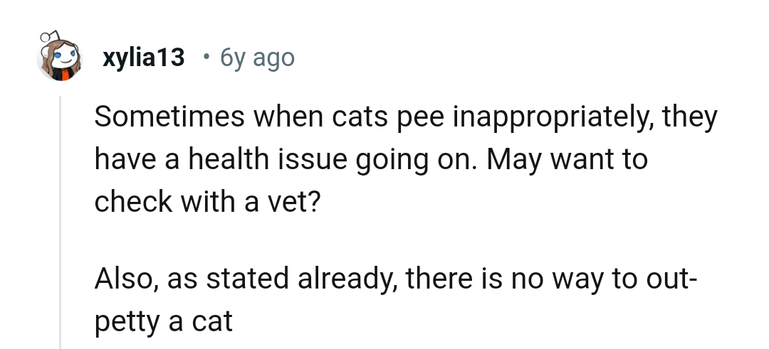 This Redditor is advising the OP to take the cat to the vet