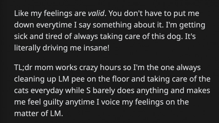 OP feels like her frustration is being dismissed too quickly and her feelings invalidated. Is she wrong for being tired of being the dog's primary caretaker?