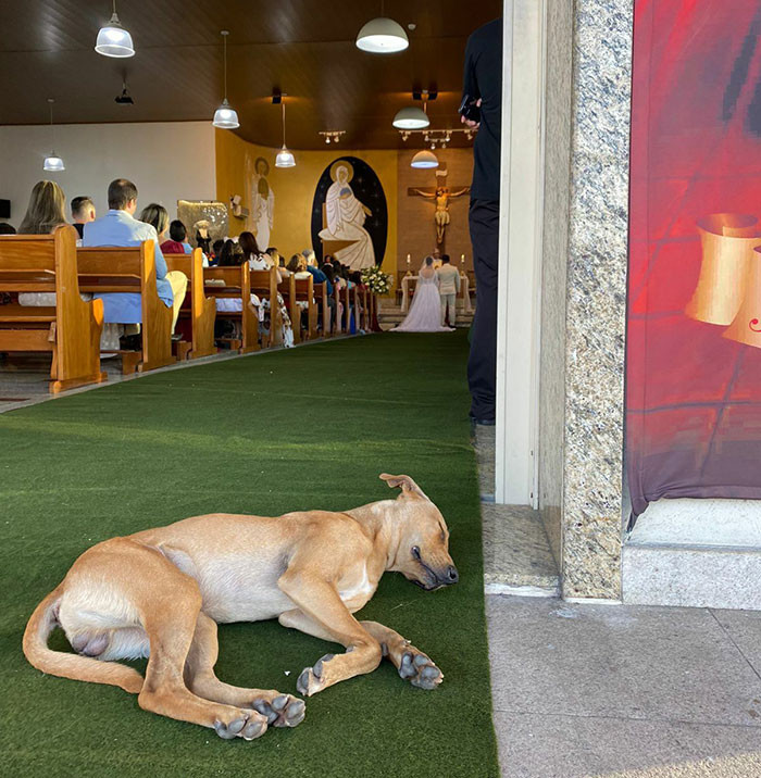 Even when he took a peaceful nap by the entrance