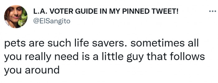 17. He explained everything.