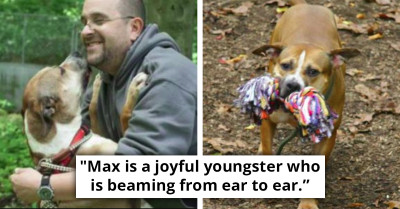 Undeterred by Nine Years of Rejection, Shelter Dog Continues to Greet Visitors with an Unfading Smile