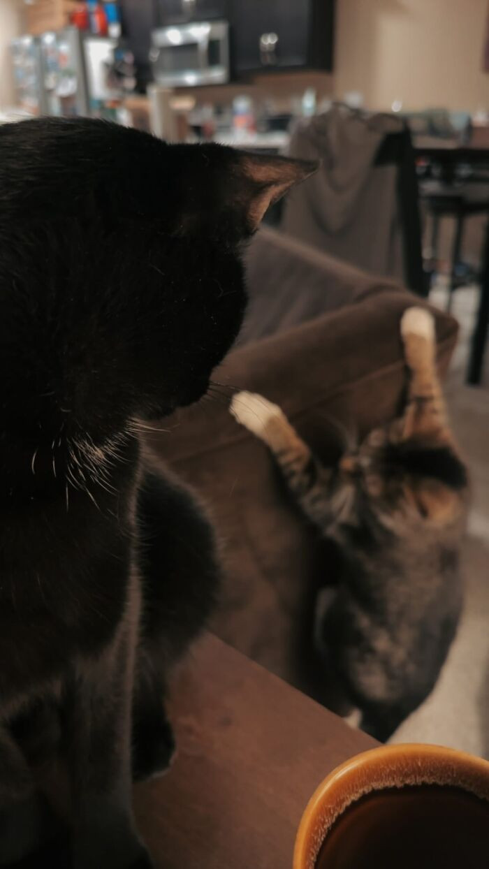 "This One Makes Me Laugh Every Time"