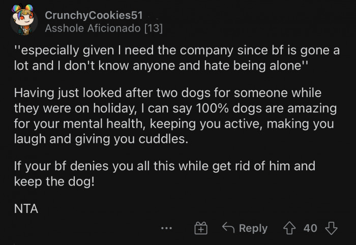 Dogs are amazing for your mental health.