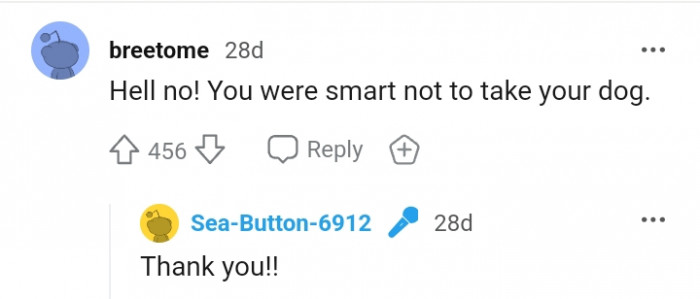 Not taking your dog there was a smart move
