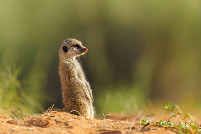 "The Calm In The Chaos"