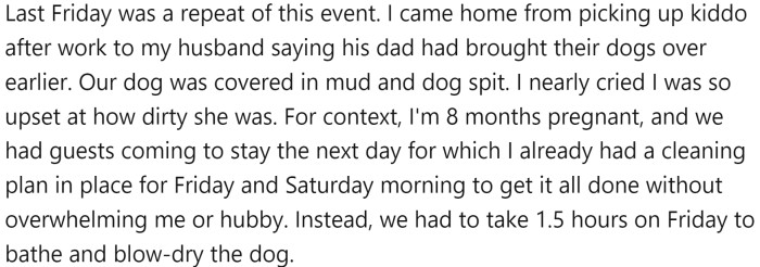 OP came home one day to find her dog covered in mud and dog spit. She was upset and had to spend 1.5 hours bathing and blow-drying her dog.