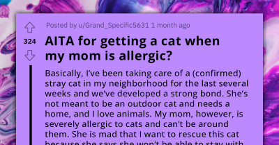 Redditor Wonders If They Were Wrong To Rescue Stray Cat Despite Their Mom’s Severe Cat Allergy That Could Prevent Her From Visiting
