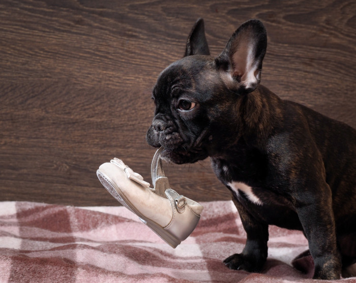 This person finds the question silly.