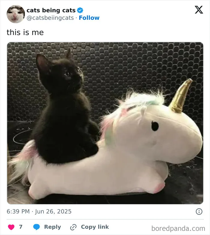 38. Off to commit crimes of whimsy and wonder.