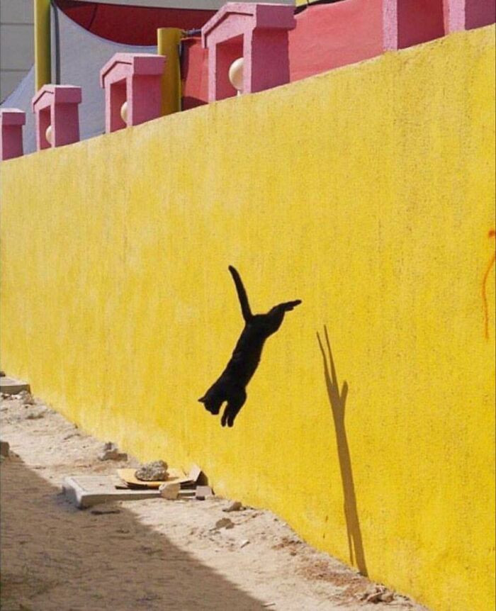 Photo By Aude Delannoy Dib