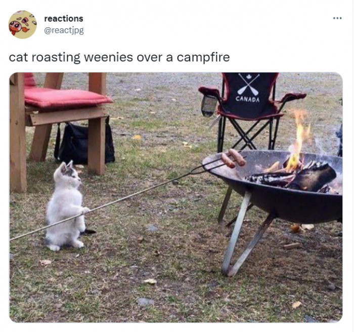 9. Roasting weenies