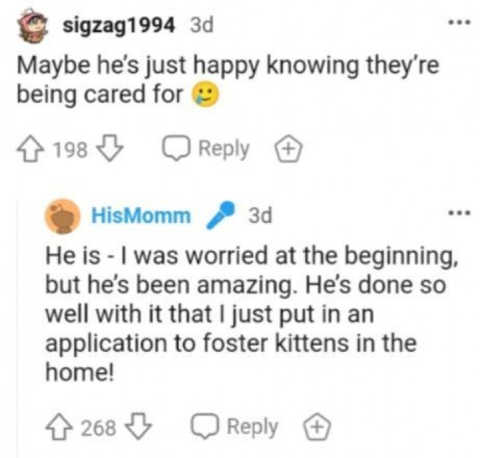 He's just happy knowing that they're being cared for